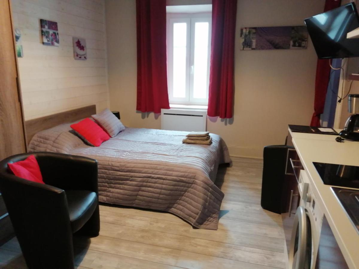 Joli Studio Dans Un Ancien Hotel Du XIX Siecle - Proche Toutes Commodites - Thermes Et Parc Vittel Eksteriør bilde